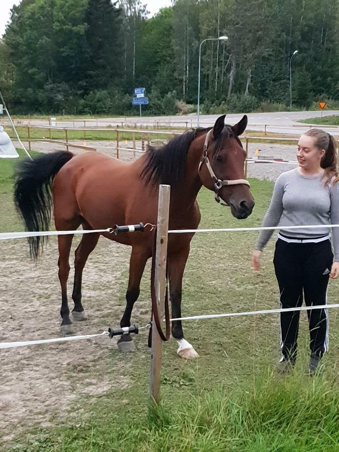 Myskje Gard Gastgiveri Soderala Bagian luar foto